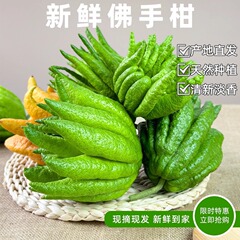 【佛手水养水培】非金华佛手柑佛手新鲜香橼观赏闻香插花香橼观赏