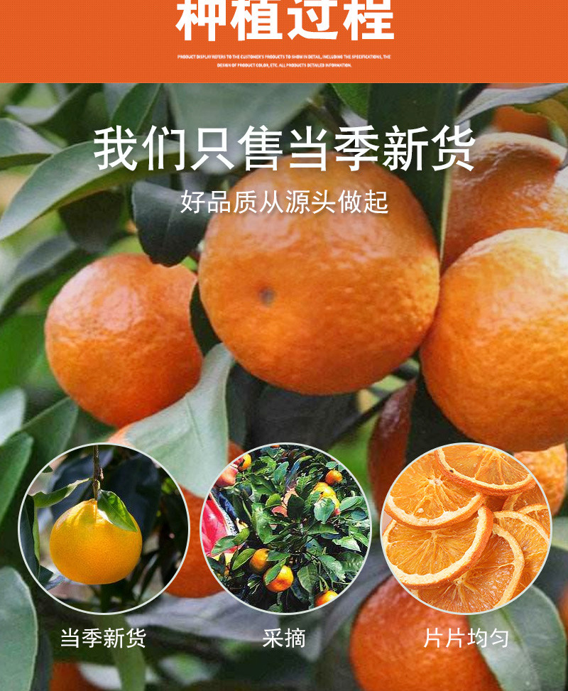 Dried Sweet Orange Slices (Citrus sinensis) — Low-Temperature Slow-Baked Fruit Tea & Wellness Infusion in use