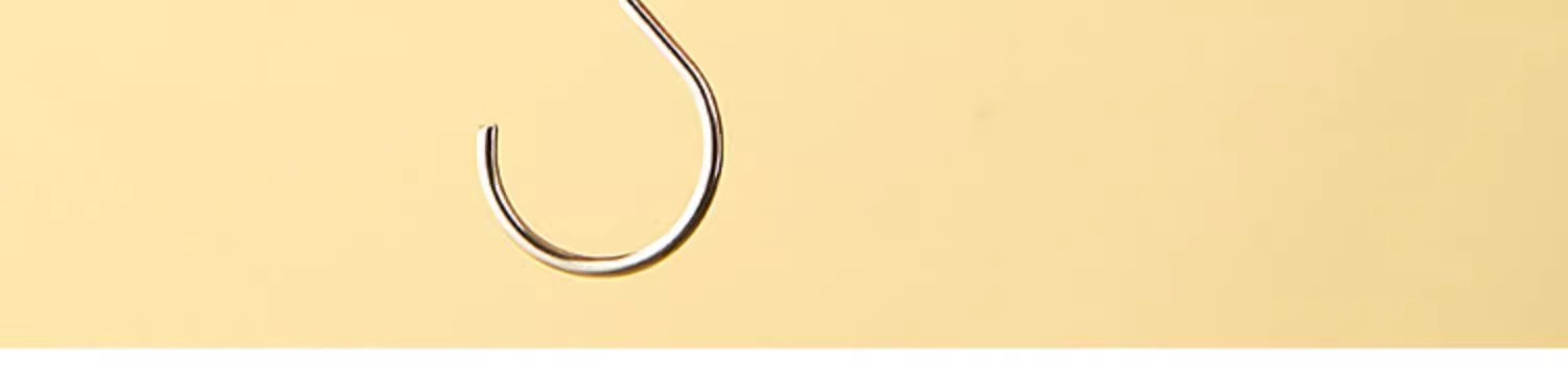 Spring balance portable smart and convenient high precision digital scale for home, small carrying scale with hook scale