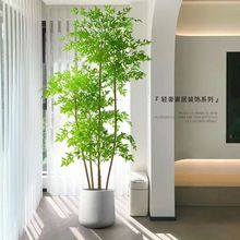 �߼����滨�ٻ��[�O�͏d�߶��p������b��[�����������Gֲ