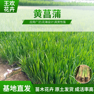 ˮ��ֲ���S�����Sβ����  ���l��س��Gˮ���Sβ�S������N��