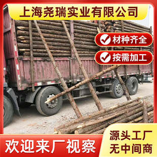���~��  ���l�ӵ�ľ��  ú�V�ľ   ��ľ   �������l  �Ϻ�����
