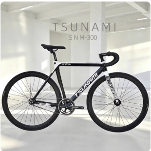 TSUNAMI �ټ{�� ���[���w SNM-300���w������܇ �����X�Ͻ��؃r