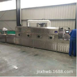 隧道式微波黑芝麻烘干机 真空食品包装杀菌机 工业微波干燥设备