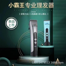 �¿�o���l��Ƽ􌣘I�l�����l���������^������굶ȫ�Ԅ�