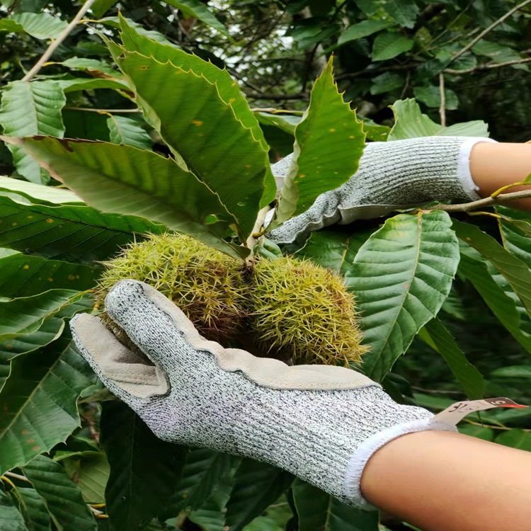 现货贴皮防护防割刺穿耐磨手套切割防刺园艺板栗防砍金属牛皮