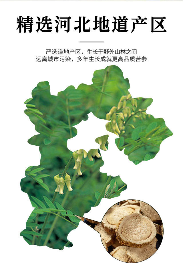 Ku Shen Dried Slices 500g Sophora flavescens Root for Tea Decoction and Foot Soak overview
