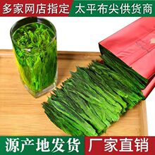 2024²̫ƽⰲSɽ~ؼG1915FSֱN