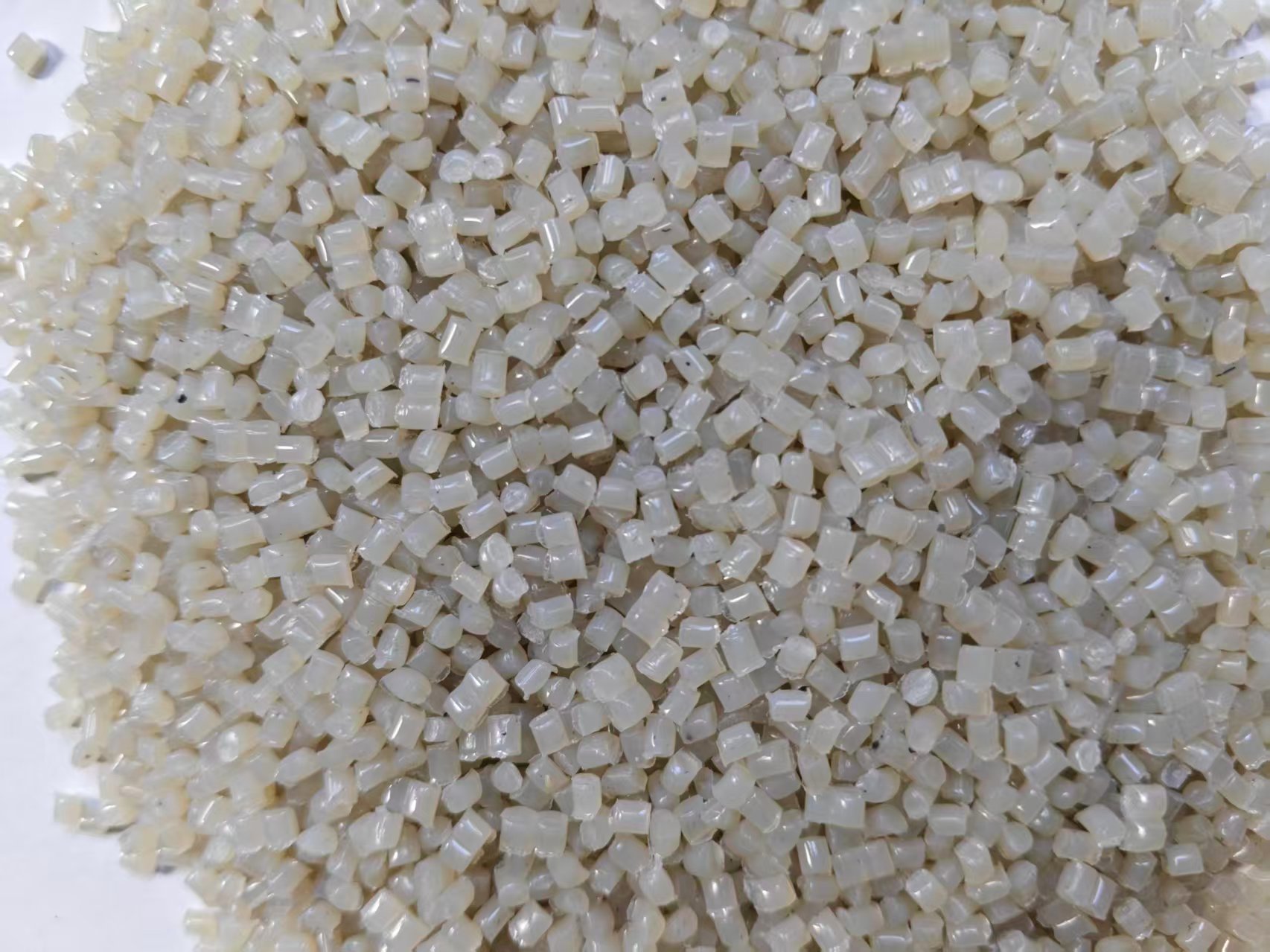 微信图片_20250630201449