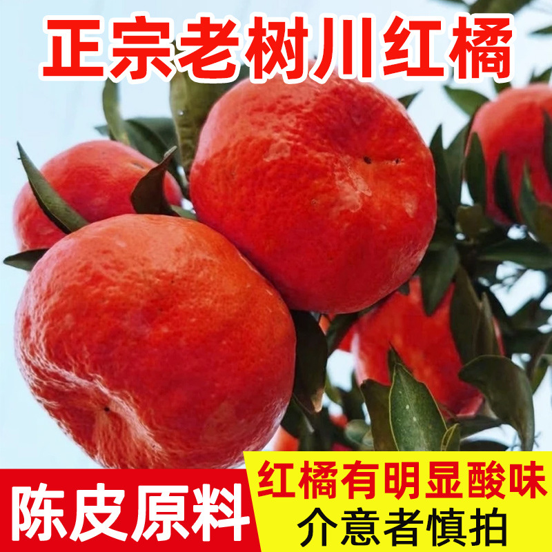 川红橘重庆万州古红橘柑桔子四川大红袍酸甜水果新鲜10斤陈皮原料