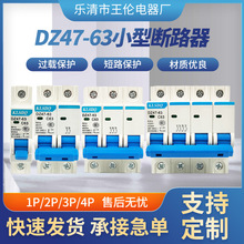 小型断路器DZ47-63电闸空气开关1P 2P 3P 4P空开6~63A微型断路器