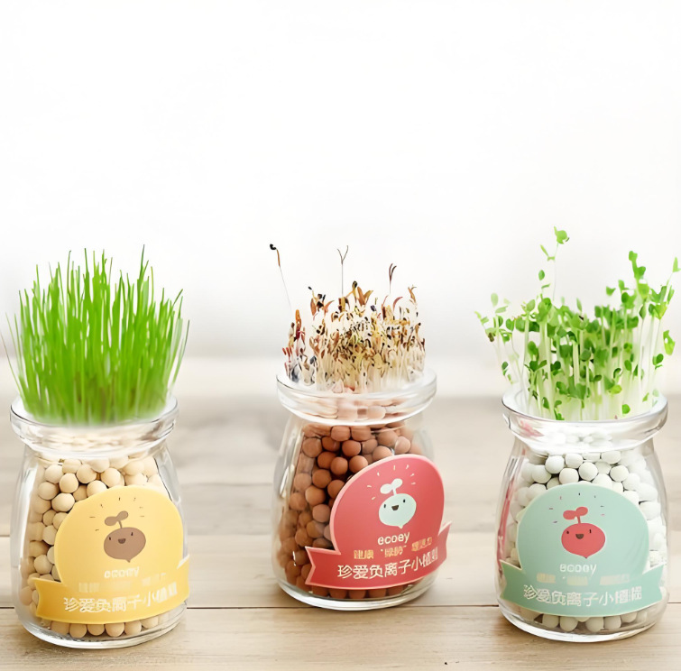 a62fa4e84f5f8842dbaee0bae4e12d