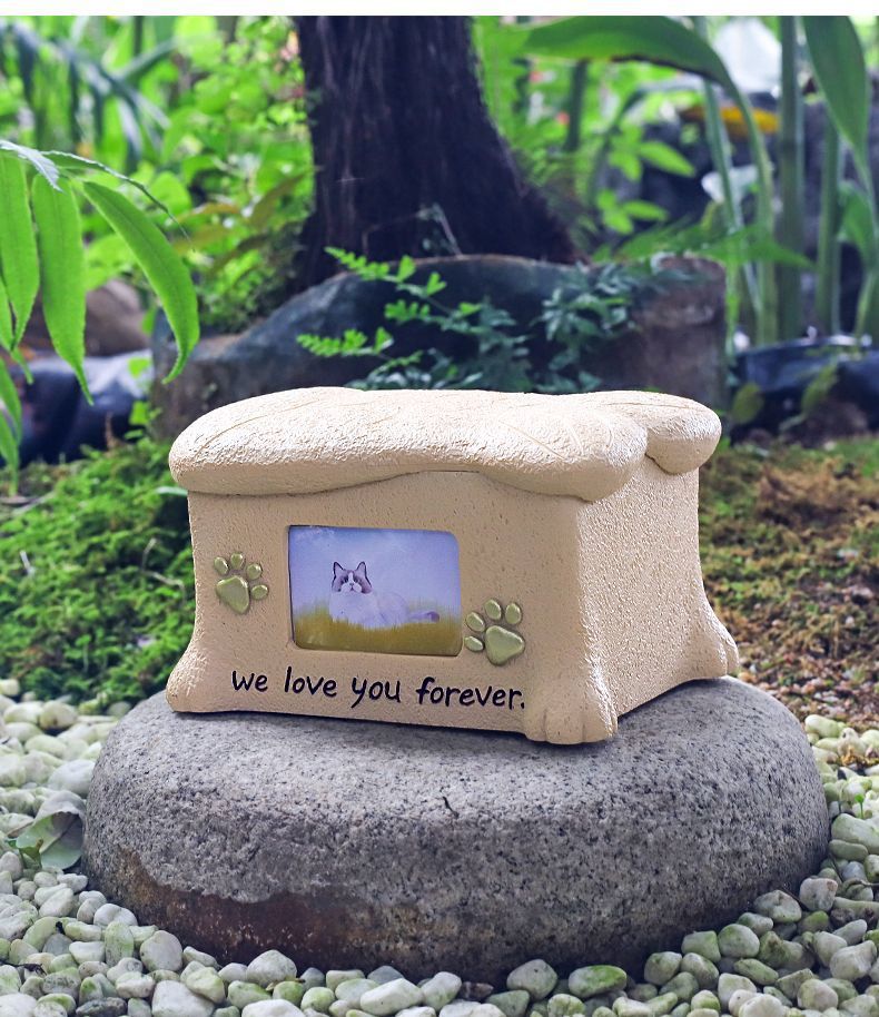 de45b449-4c89-4d2a-95d7-652229309cc9.jpe