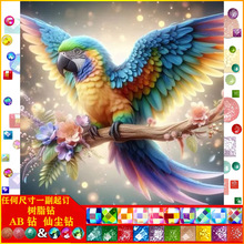 �S��ֱ�NDIY�����W�^�ֹ��ʯ�����|AB�ɉm��֬������b����l