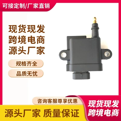 In Stock 3008m0077471, 300879984t01 Ignition Coil Suitable for Mercury Optimax