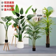 ���ͱ��W����ֲ�����˽��͏d�پGֲ���Լ��Ù����쾰�b���Gֲ