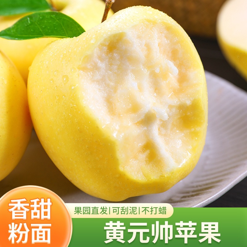 正宗黄元帅苹果9斤新鲜水果应当季粉面黄金帅刮泥丑苹果整箱包邮