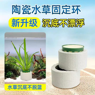 Water Grass Planting Ring Landscape Cultivation Water Grass Fixed Planting Cultivation Three-piece Set of Ceramic Sink Ring Planting Whole Net Hair