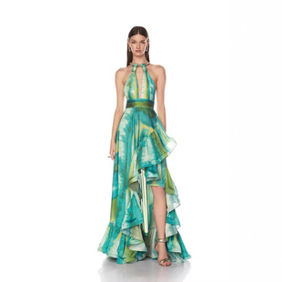 Seaside Resort Style Amazon Cross-Border Smudged Personalized Steel Ring Halter Design Niche Printed Long Skirt Evening Dress