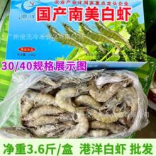 湛江港洋水冻白虾 4斤/盒净重3.6斤 连头白虾 生冻虾冷冻国产白虾