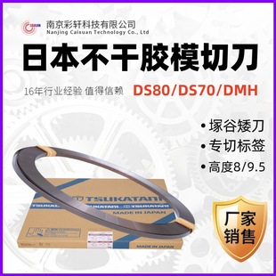 �����z��ģ��Ƭ �ձ��V�ȵ�����8/9.5ӡˢ�˺�ģ�е��M�ڵ�ģ����