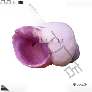 �Ͽ�ɺ������ȻС��ؐ��ϡ���ղ��~���b����ݼľ�з��Q����̫��