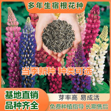 ���ܷN�ӻ��ع���������Ұ���M�ϻ����R�޲����ȶ������@����ֲ��