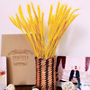 Wheat Earline Barbolus Flower Shop Flower Basketball Flower Basket Flower Shelf Pastoral Gift Prople