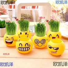 ����С�Y�����l ����С�YƷ��ͯ�l�� һԪ���ߴa�������С���