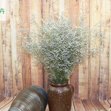 ˲ݸɻ   ˲  ԭɫ ɻ l