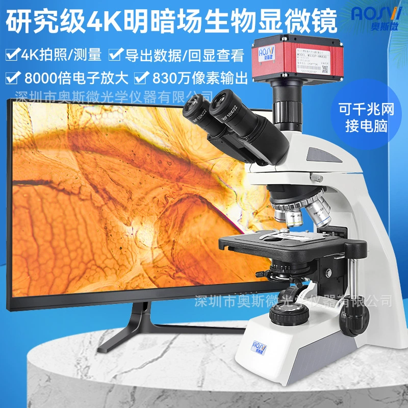 4K исследовательский класс, светло-темное поле, биологический микроскоп, биологический эксперимент, научные исследования, бактериальные клеточные наблюдения, обучение колледже