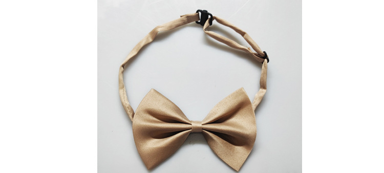 IMG_20221110_203738 副本.jpg