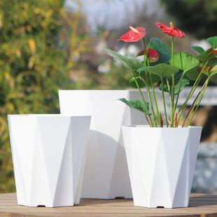 ��֬�������ϸ��FҬ�Ӵ�̖�Ӻ��п׻��������B�G�}�����бP����}