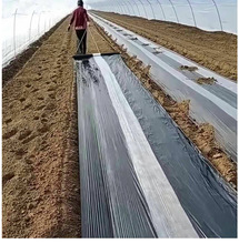 黑白地膜农用种植农业地膜农用菜农保暖养殖薄膜植树节地皮草莓