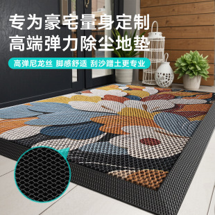 Light Luxury Printed Entrance Floor Mats, Home Carpets, Entrance Door Stain-Resistant Mats, Elastic Silk Anti-Slip Mats