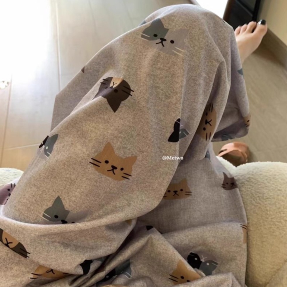 초콜릿 고양이