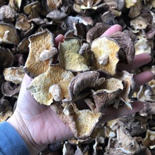 河南香菇碎片薄香菇干香菇蘑菇食用菌農產品批發500g大小片齊全