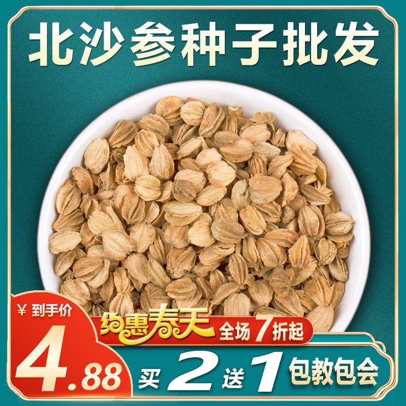 新鲜北沙参种子正品优质中药材沙参种籽500克包邮可煲汤食用白条