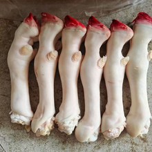 ��������������r����[���������_50����؛�����������^ȥë����