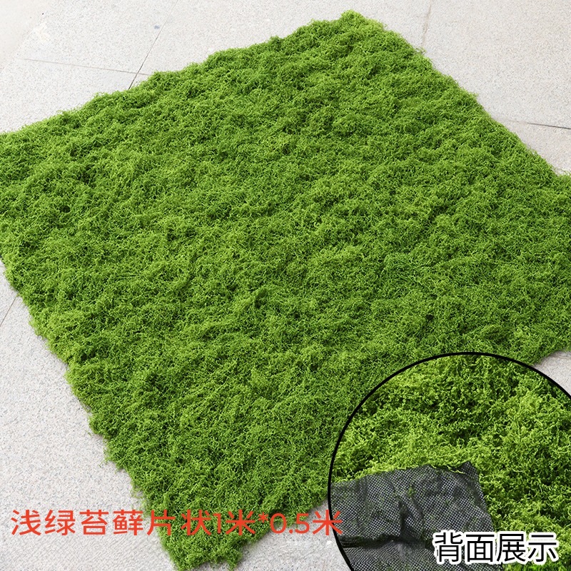 Light green outdoor filamentous moss turf 0.5*1 meter piece