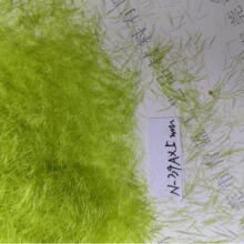 ۾Gɫ5MMoֲqqëɁaֲqzˮoO