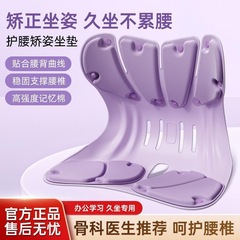 IJG护腰坐姿椅垫腰靠背垫一体办公室久坐舒适不累人体工学座椅垫