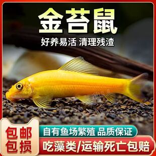 ��̦���~���~����̦�������幤���~��ˮ�~С�͟Ꭷ�^�p�~�������~