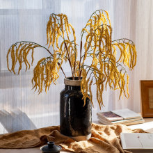 ��Ǽ��β���{�ɻ���ɫ�廨ˇ�g�͏d�����b[�O�e���͹�