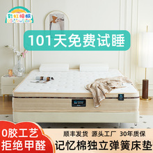 五星级酒店民宿床垫软硬两用乳胶记忆棉独立弹簧席梦思床垫批发