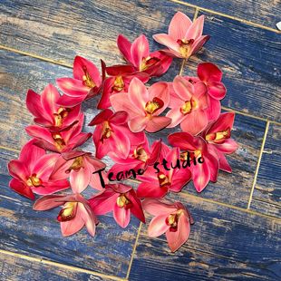 ���滨���m���m���ֶY3D��ӡ�zƬޥ�m�����m���^�L�η���ֶY��Y