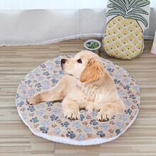 ?ճƷC|؈䴲|Ȯ؈pӺůɳl|؈Ʒ