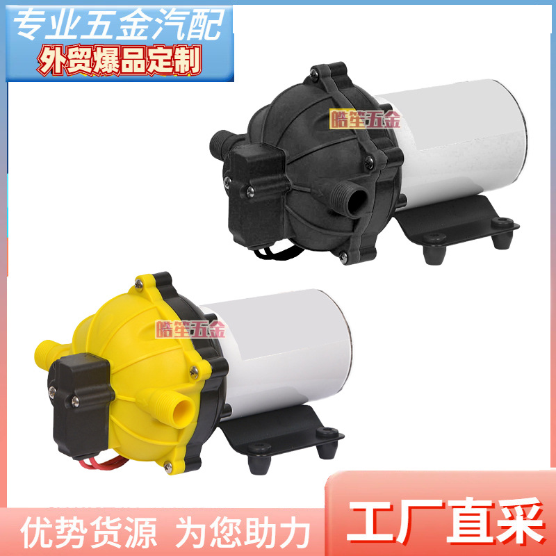 车用轮船用微型水泵电动隔膜泵喷雾泵抽水机灌溉洗洁精12V自吸泵