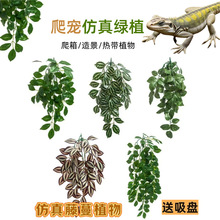 ˮ��������ڹҷ����������������������ֲ���Ҷ�쾰���ָ׾���