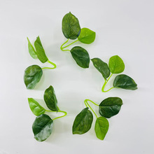 �¿�Ƥ���O���~�廨�b��Ĕz���߻��G�}���������~�S�����l���滨